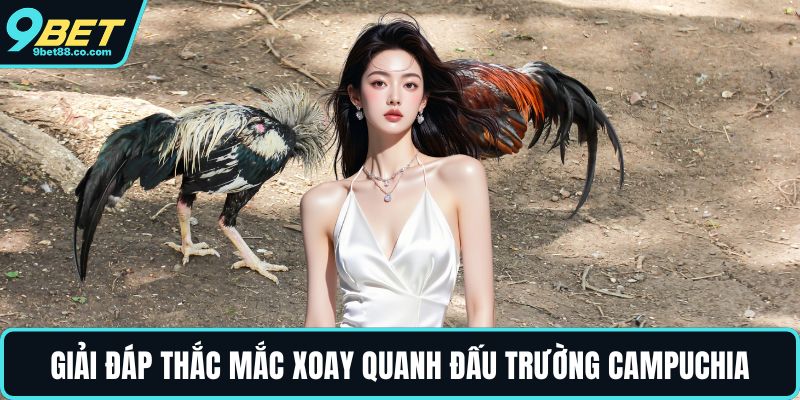 Giải đáp thắc mắc xoay quanh đấu trường Campuchia