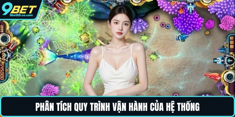 Phân tích quy trình vận hành của hệ thống